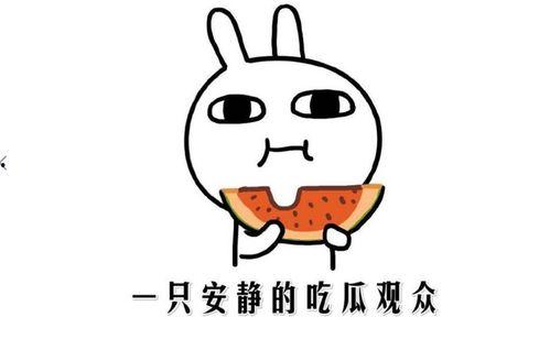 网络热门黑料吃瓜,吃瓜群众如何辨别真相与谣言